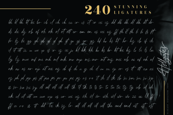 Hollgates Font Poster 17