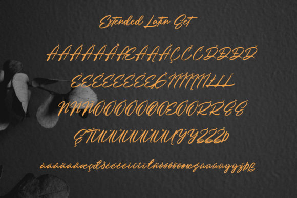 Holly Wings Font Poster 8