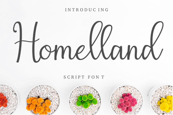 Homelland Font Poster 1