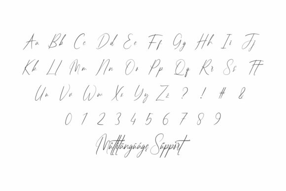 Hostiline Font Poster 3