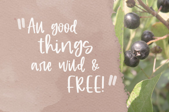 Huckleberry Font Poster 2
