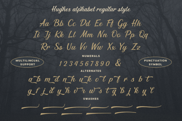 Hughes Font Poster 11