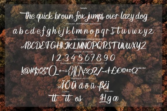 Hugita Font Poster 6