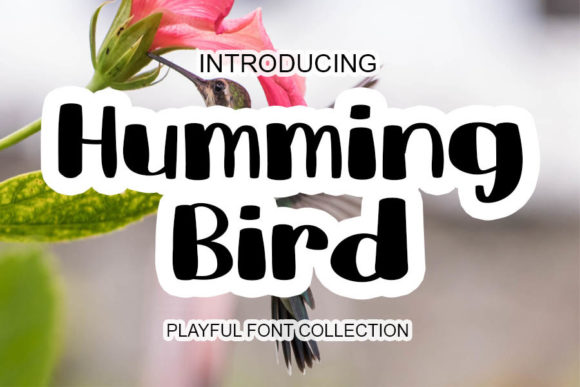 Humming Bird Font Poster 1