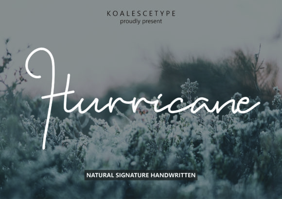 Hurricane Font Poster 1