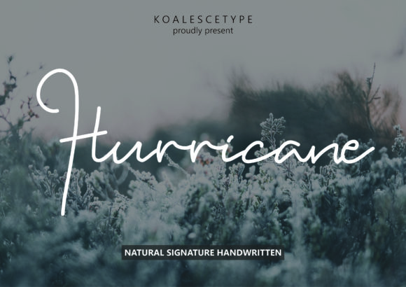 Hurricane Font