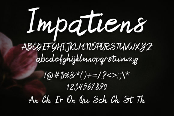 Impatiens Font Poster 2