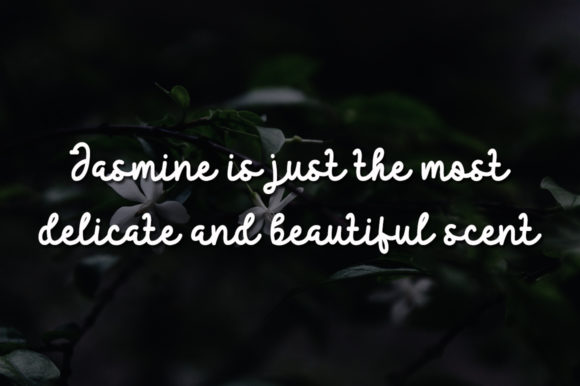 Jasmine Flower Font Poster 2