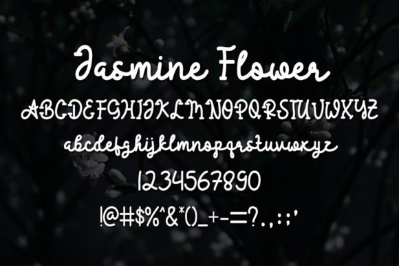 Jasmine Flower Font Poster 4