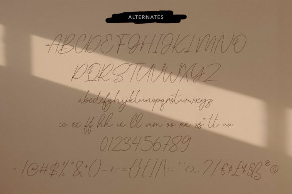 Jollytimes Font Poster 9