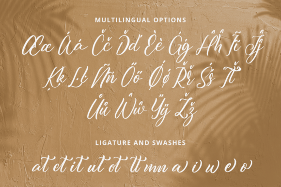 Julistta Font Poster 11