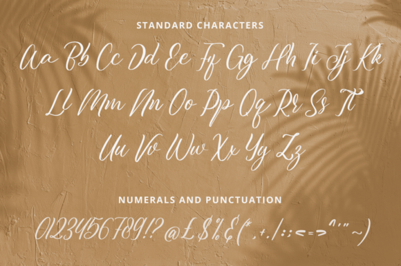 Julistta Font Poster 10