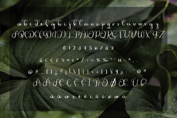 Jungle Font Poster 4