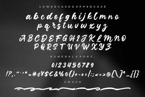 Junkies Style Font Poster 8