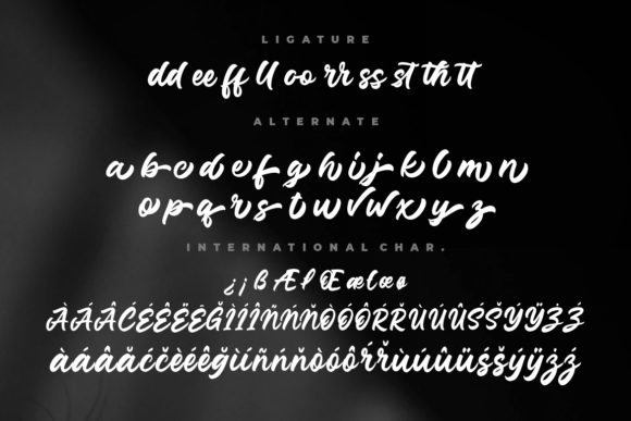 Junkies Style Font Poster 9