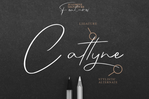 Justmine Signature Font Poster 2