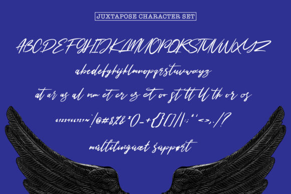 Juxtapose Font Poster 8