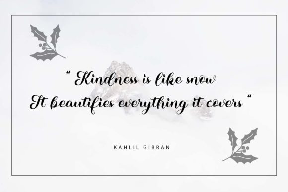 Kalina Font Poster 6