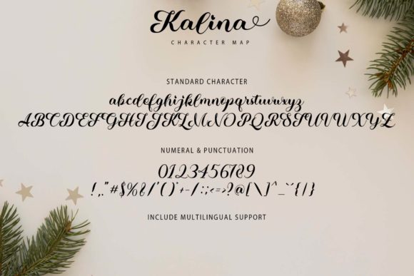 Kalina Font Poster 7