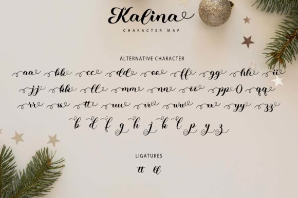 Kalina Font Poster 8