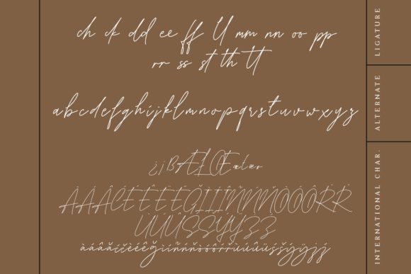 Karllina Font Poster 9