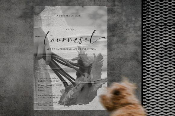 Kate Banks Font Poster 3