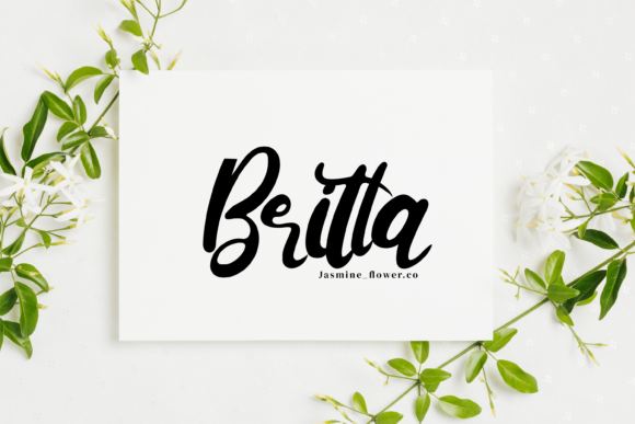 Ketty & Cutte Font Poster 4
