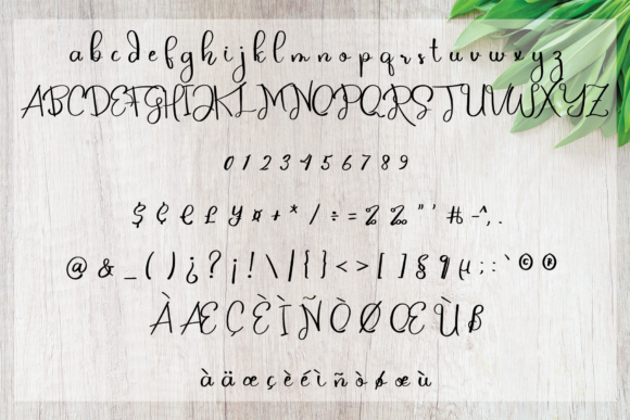 Kitchen Font Poster 5