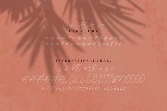 Knott Riccardo Font Poster 7