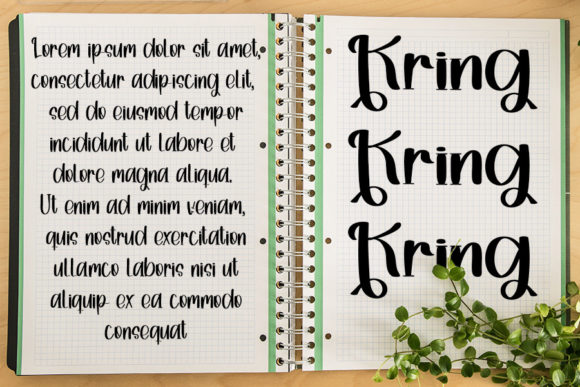 Krings Font Poster 4