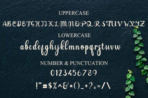 La Viola Font Poster 6