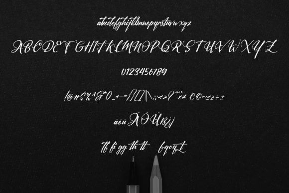 LaMinna Gusty Font Poster 5