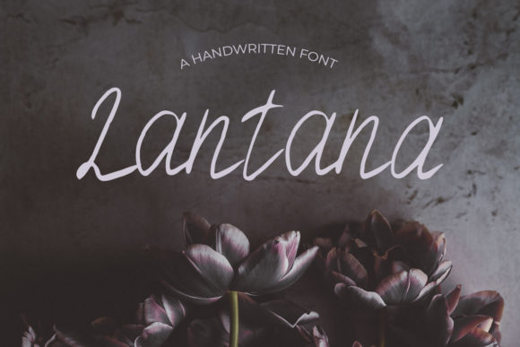 Lantana Font Poster 1