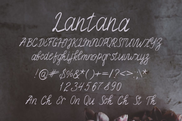 Lantana Font Poster 2
