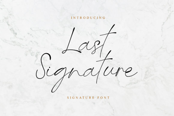 Last Signature Font Poster 1