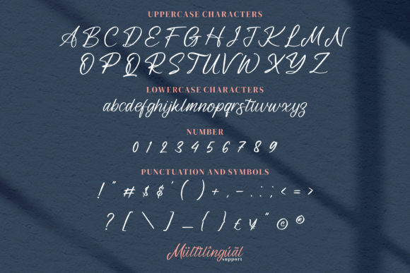 Leandro Daniel Font Poster 5