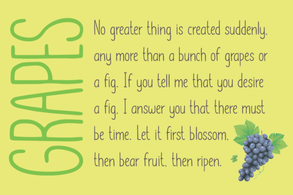 Lemon Grapes Font Poster 4