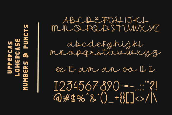 Lerika Font Poster 5