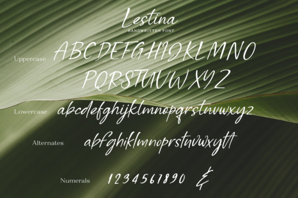 Lestina Font Poster 10