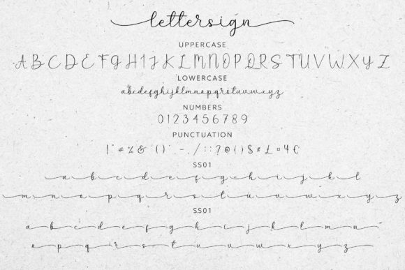 Lettersign Font Poster 9