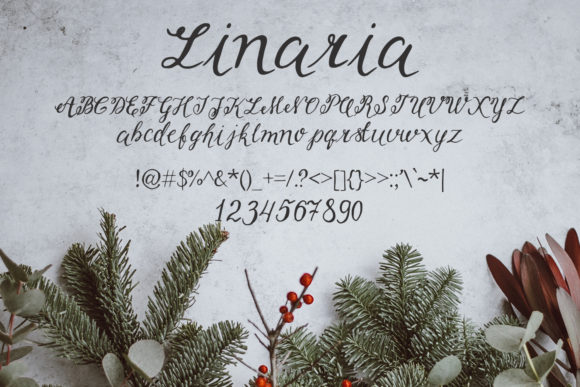 Linaria Font Poster 2