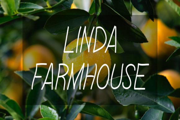 Linda Farmhouse Font Poster 1