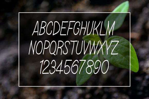 Linda Farmhouse Font Poster 9