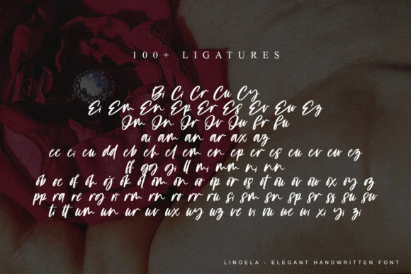 Linoela Font Poster 11