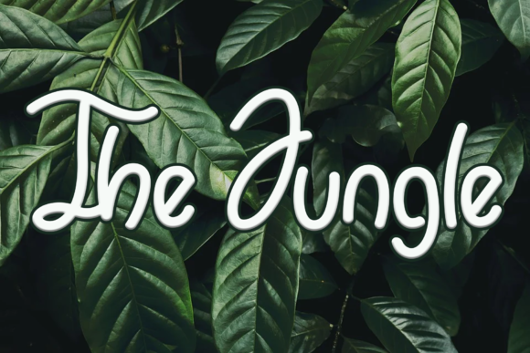 Little Monkey Font Poster 2
