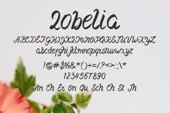 Lobelia Font Poster 2