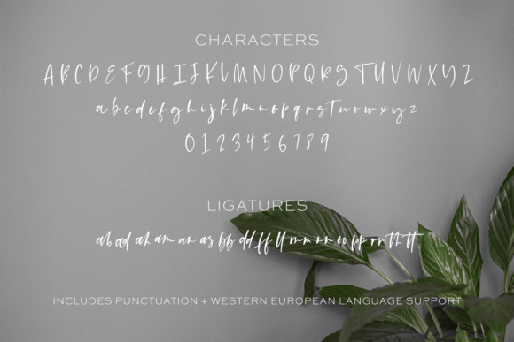 Lofthouse Font Poster 10