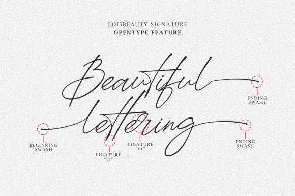 Loisbeauty Font Poster 5
