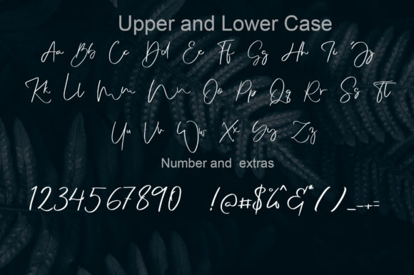 London Night Font Poster 4