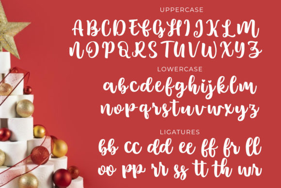 Lonystar Font Poster 9